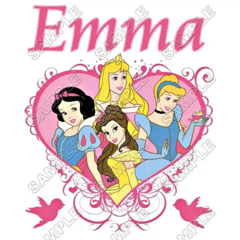 Disney Princess  Personalized  Custom  T Shirt Iron on Transfer Decal #16