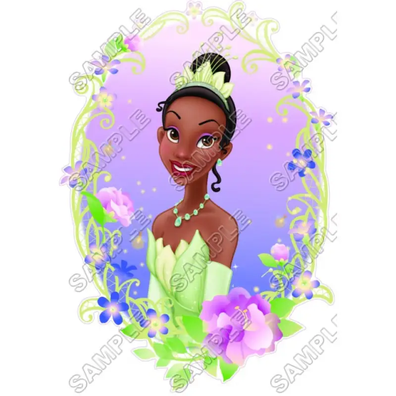 Disney Princess Tiana T Shirt Iron on Transfer Decal #8 Disney Princess Tiana T Shirt Iron on Transfer Decal #8