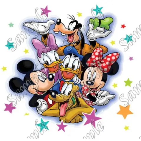 Disney world   Family Vacation  T Shirt Iron on Transfer Decal #18