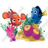 Finding Nemo  T Shirt  Iron on Transfer Decal #12