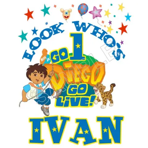 Go Diego Go  Birthday Personalized Custom T Shirt Iron on Transfer Decal #80