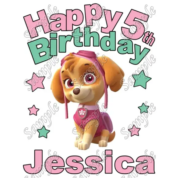 Happy Birthday PAW Patrol Skye Personalized Custom T Shirt Iron on Transfer Decal #4 Happy Birthday PAW Patrol Skye Personalized Custom T Shirt Iron on Transfer Decal #4