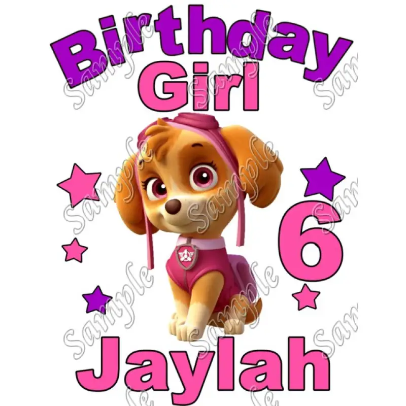 Paw Patrol Birthday Girl Personalized Custom T Shirt Iron on Transfer Decal #3 Paw Patrol Birthday Girl Personalized Custom T Shirt Iron on Transfer Decal #3