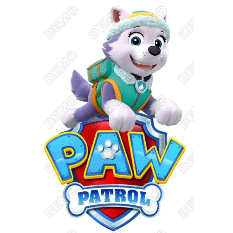 Paw  Patrol  Everest T Shirt Iron on Transfer  Decal