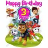 Paw Patrol  Girls  Birthday   Personalized   T Shirt Iron on Transfer #27
