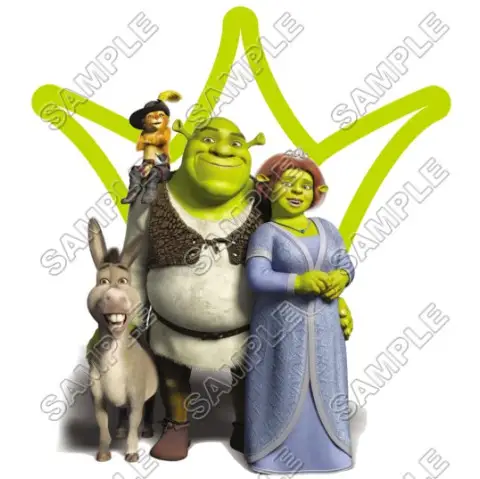Shrek T Shirt Iron on Transfer Decal #2