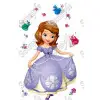 Sofia the  First Princess T Shirt Iron on Transfer Decal #16