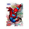 Spider - Man T Shirt Iron on Transfer Decal #8