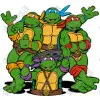 Teenage Mutant Ninja Turtles T Shirt Iron on Transfer Decal #1
