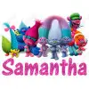 Trolls  Personalized  Custom  T Shirt Iron on Transfer Decal #1