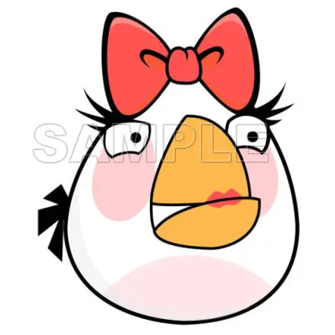 Angry Birds T Shirt Iron on Transfer Decal #8 Angry Birds T Shirt Iron on Transfer Decal #8