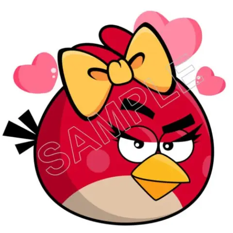 Angry Birds T Shirt Iron on Transfer Decal #93 Angry Birds T Shirt Iron on Transfer Decal #93