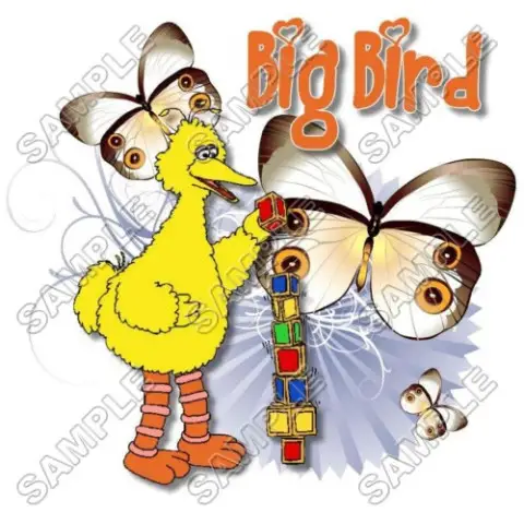 Big Bird Sesame street T Shirt Iron on Transfer Decal #15 Big Bird Sesame street T Shirt Iron on Transfer Decal #15