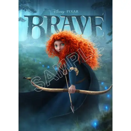 Brave (Disney) T Shirt Iron on Transfer Decal #1 Brave (Disney) T Shirt Iron on Transfer Decal #1
