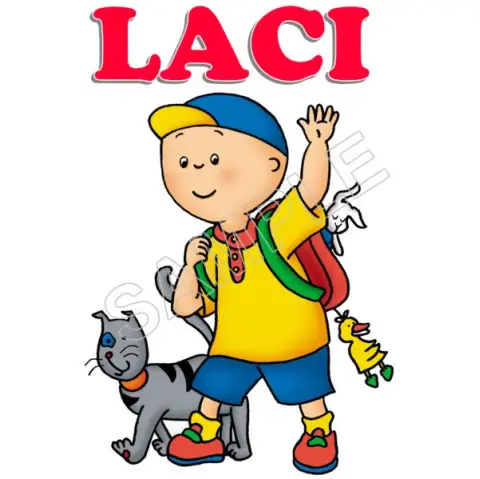 Caillou  Personalized  Custom  T Shirt Iron on Transfer Decal #75