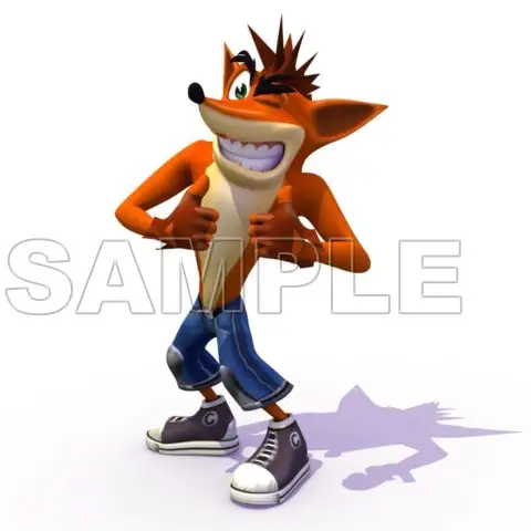Crash Bandicoot T Shirt Iron on Transfer Decal #2 Crash Bandicoot T Shirt Iron on Transfer Decal #2