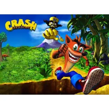 Crash Bandicoot T Shirt Iron on Transfer Decal #5
