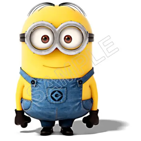 Despicable Me Minion T Shirt Iron on Transfer Decal #62 Despicable Me Minion T Shirt Iron on Transfer Decal #62