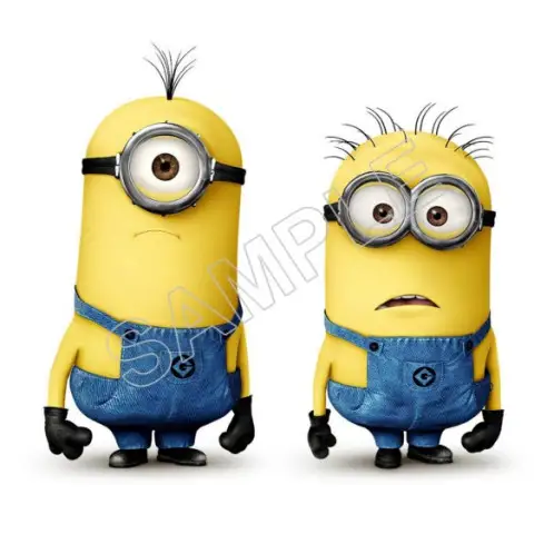 Despicable Me  T Shirt Iron on Transfer Decal #235