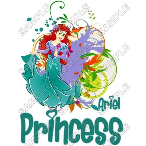 Disney Princess Ariel Little Mermaid T Shirt Iron on Transfer Decal #4 Disney Princess Ariel Little Mermaid T Shirt Iron on Transfer Decal #4