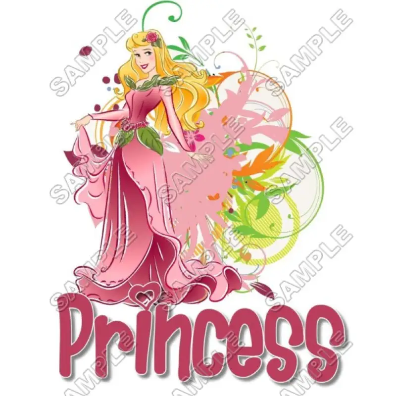 Disney Princess Aurora T Shirt Iron on Transfer Decal #19 Disney Princess Aurora T Shirt Iron on Transfer Decal #19
