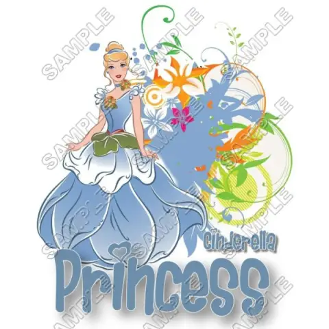 Disney Princess Cinderella T Shirt Iron on Transfer Decal #21 Disney Princess Cinderella T Shirt Iron on Transfer Decal #21