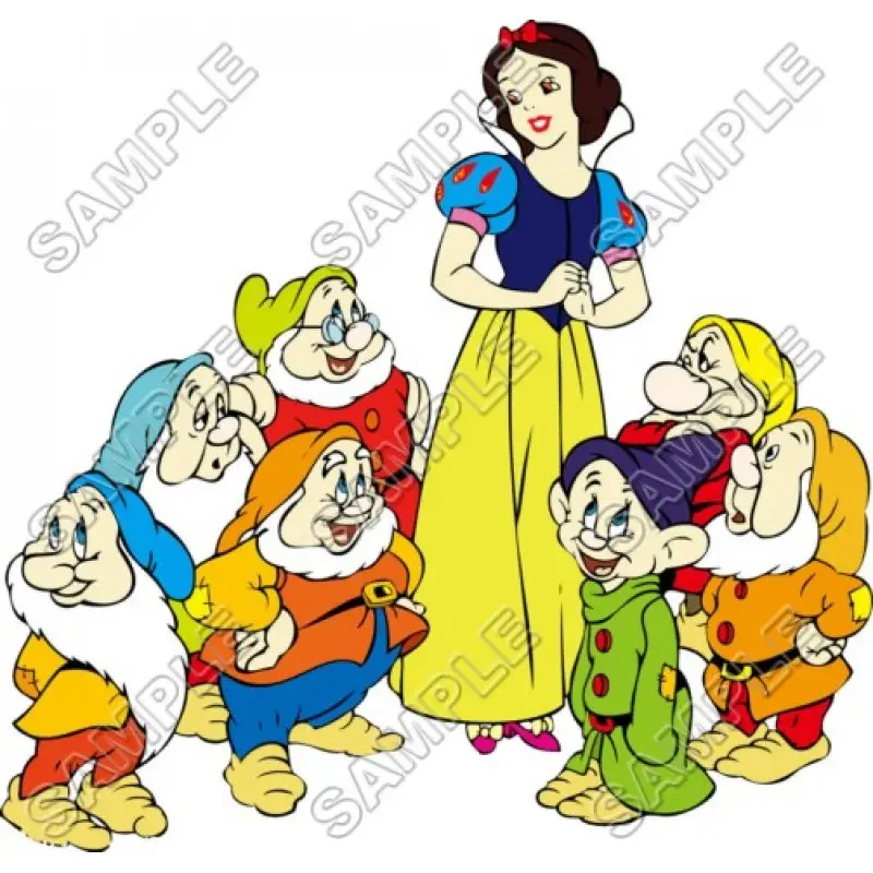 Disney Princess Snow White and the Seven Dwarfs T Shirt Iron on Transfer Decal #2 Disney Princess Snow White and the Seven Dwarfs T Shirt Iron on Transfer Decal #2