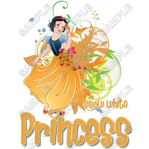 Disney Princess Snow white T Shirt Iron on Transfer Decal #6 Disney Princess Snow white T Shirt Iron on Transfer Decal #6