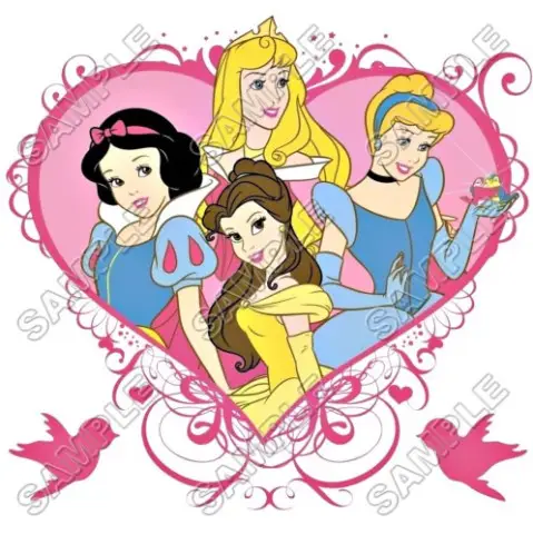 Disney Princess T Shirt Iron on Transfer Decal #12
