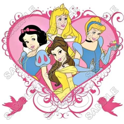 Disney Princess T Shirt Iron on Transfer Decal #12 Disney Princess T Shirt Iron on Transfer Decal #12