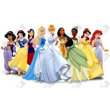 Disney Princess T Shirt Iron on Transfer Decal #15 Disney Princess T Shirt Iron on Transfer Decal #15