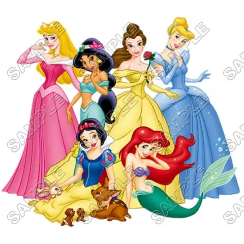 Disney Princess T Shirt Iron on Transfer Decal #18 Disney Princess T Shirt Iron on Transfer Decal #18