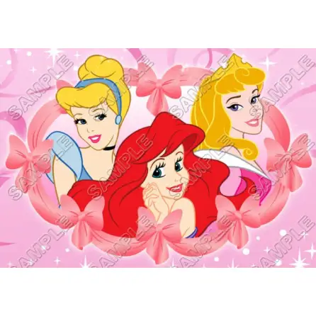 Disney Princess T Shirt Iron on Transfer Decal #24 Disney Princess T Shirt Iron on Transfer Decal #24