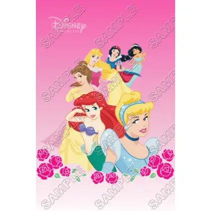 Disney Princess T Shirt Iron on Transfer Decal #26