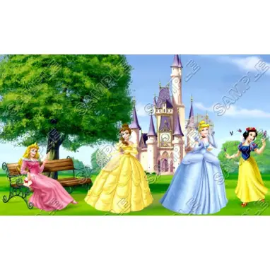 Disney Princess T Shirt Iron on Transfer Decal #27 Disney Princess T Shirt Iron on Transfer Decal #27