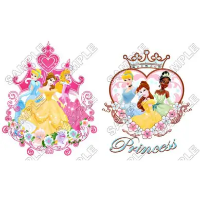 Disney Princess T Shirt Iron on Transfer Decal #33 Disney Princess T Shirt Iron on Transfer Decal #33