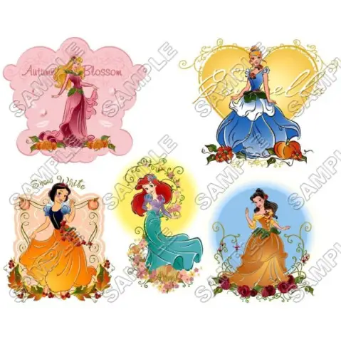 Disney Princess T Shirt Iron on Transfer Decal #34