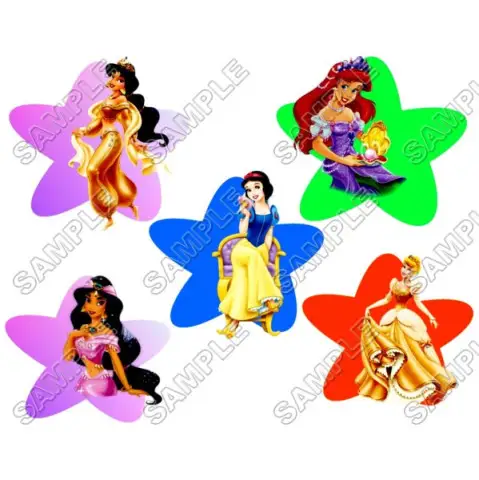 Disney Princess T Shirt Iron on Transfer Decal #35