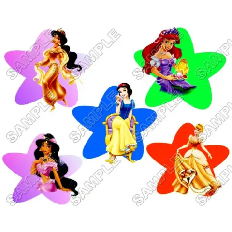 Disney Princess T Shirt Iron on Transfer Decal #35 Disney Princess T Shirt Iron on Transfer Decal #35
