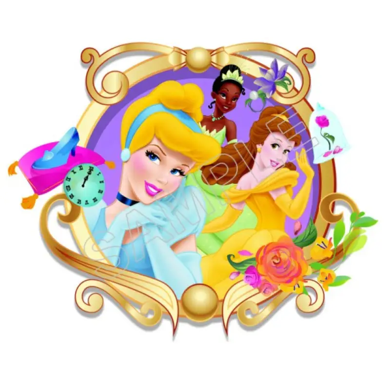 Disney Princess T Shirt Iron on Transfer Decal #4 Disney Princess T Shirt Iron on Transfer Decal #4