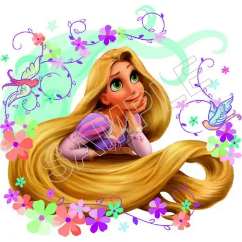 Disney Princess Tangled Rapunzel T Shirt Iron on Transfer Decal #3 Disney Princess Tangled Rapunzel T Shirt Iron on Transfer Decal #3