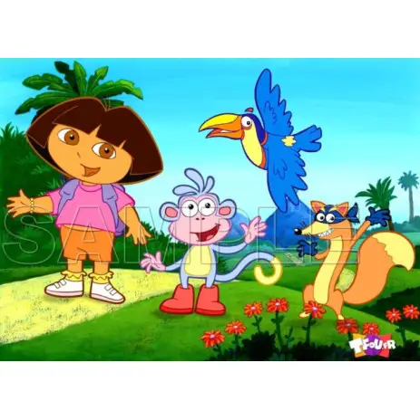 Dora T Shirt Iron on Transfer  Decal  #17