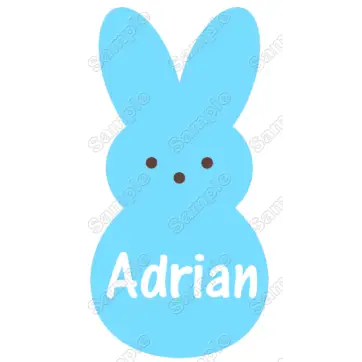Easter Bunny for Boys Custom Name Iron on Transfer Easter Bunny for Boys Custom Name Iron on Transfer