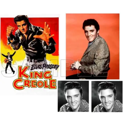 Elvis Presley T Shirt Iron on Transfer Decal #2 Elvis Presley T Shirt Iron on Transfer Decal #2