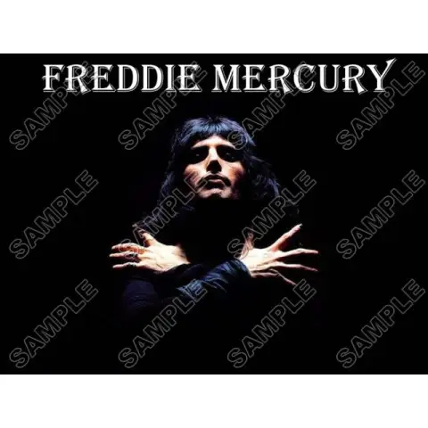 Freddie Mercury Queen T Shirt Iron on Transfer Decal #2 Freddie Mercury Queen T Shirt Iron on Transfer Decal #2
