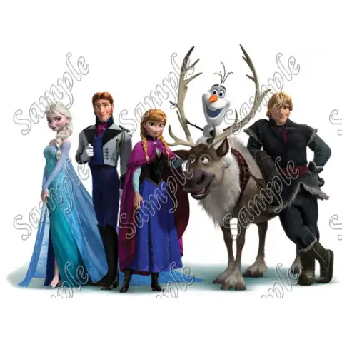 Frozen Anna Elsa Olaf T Shirt Iron on Transfer Decal #18