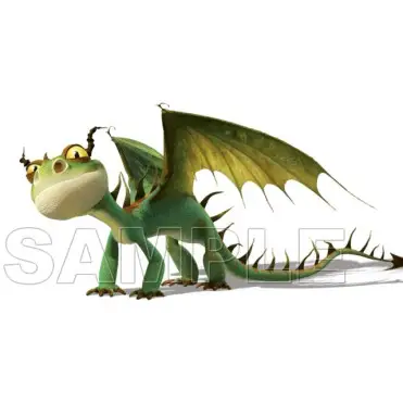 How to Train Your Dragon T Shirt Iron on Transfer Decal #3 How to Train Your Dragon T Shirt Iron on Transfer Decal #3