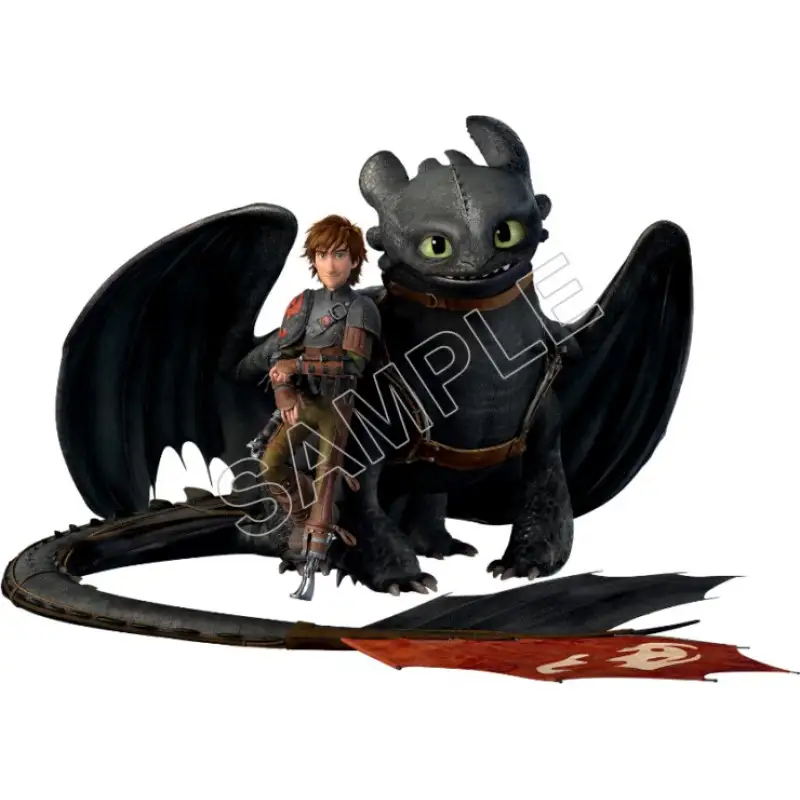 How to Train Your Dragon T Shirt Iron on Transfer Decal #5 How to Train Your Dragon T Shirt Iron on Transfer Decal #5