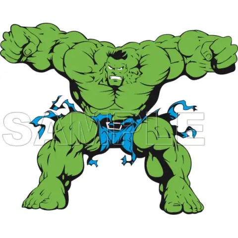 Hulk T Shirt Iron on Transfer Decal #2 Hulk T Shirt Iron on Transfer Decal #2