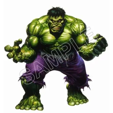 Incredible hulk T Shirt Iron on Transfer Decal #3